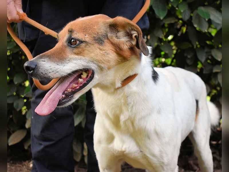 Kamyll - Der Platz neben dir