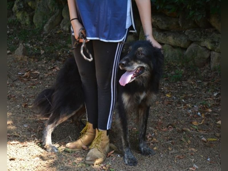 Pinot - "Unmöglich!" sagte die Tatsache... Pinot - "Unmöglich!" sagte die Tatsache...