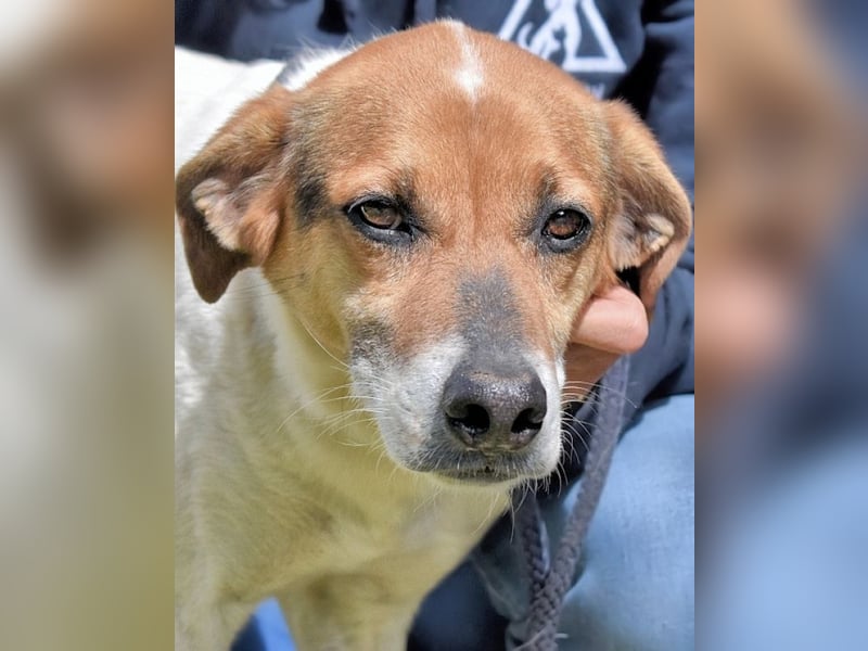 Kamyll - Der Platz neben dir