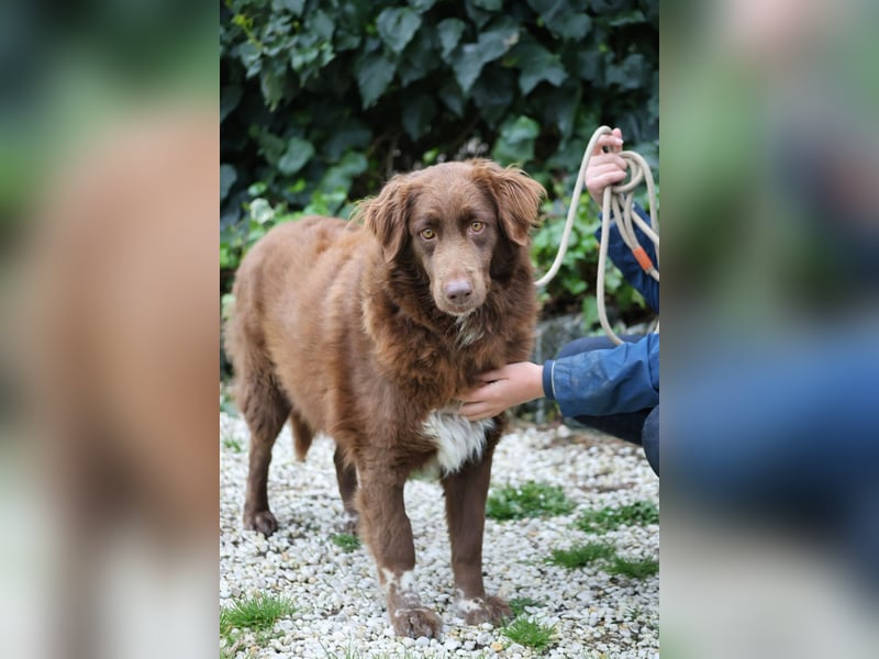 Beckey - Berufswunsch Prinzessin