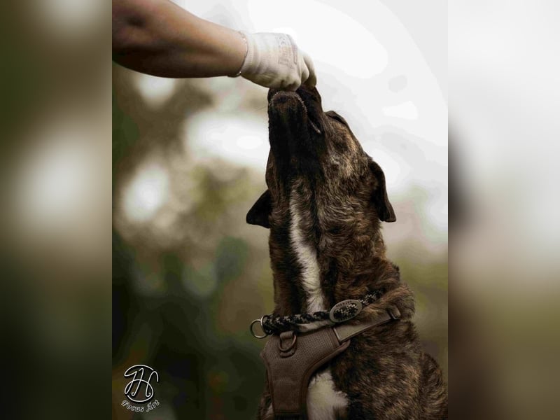 Ludwig - Nur Mädchen erlaubt