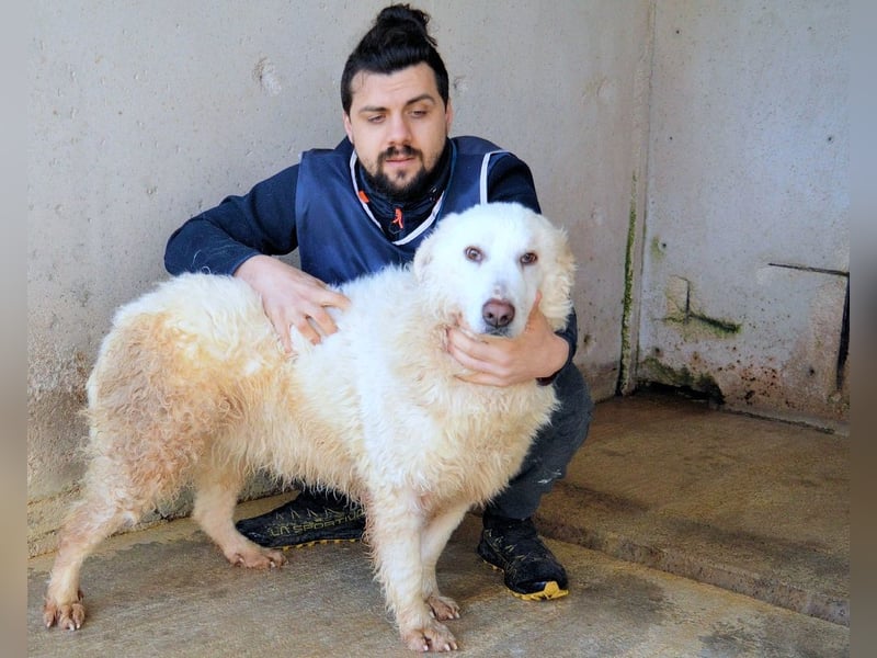 Abreena - Selbstbewusst, verspielt und voller Zuneigung