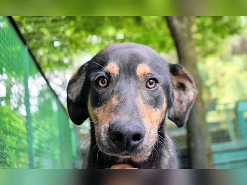 Montego - Sonne im Bauch und Brausekribbeln im Hirn