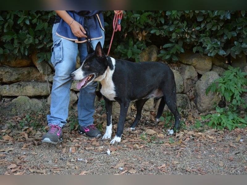 Edelmira - Das Leben in homöopathischen Dosen kennenlernen