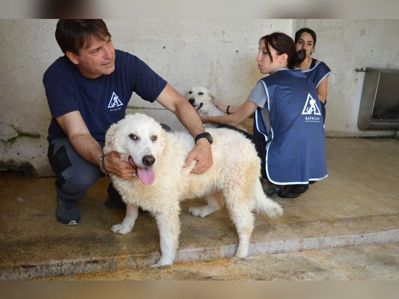 Abreena - Selbstbewusst, verspielt und voller Zuneigung