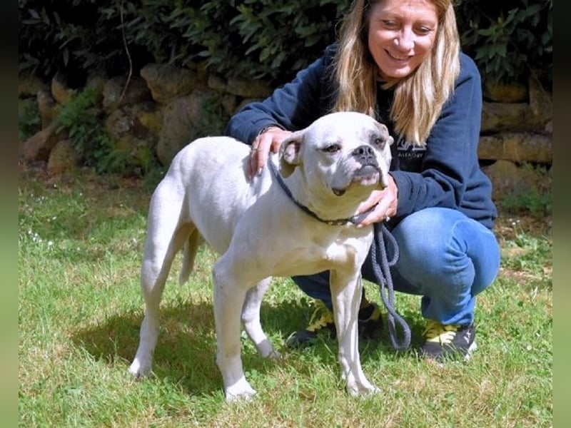 Nickolaus - Alle guten Dinge sind drei