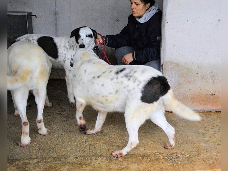 Arunny - Während Sie das hier lesen