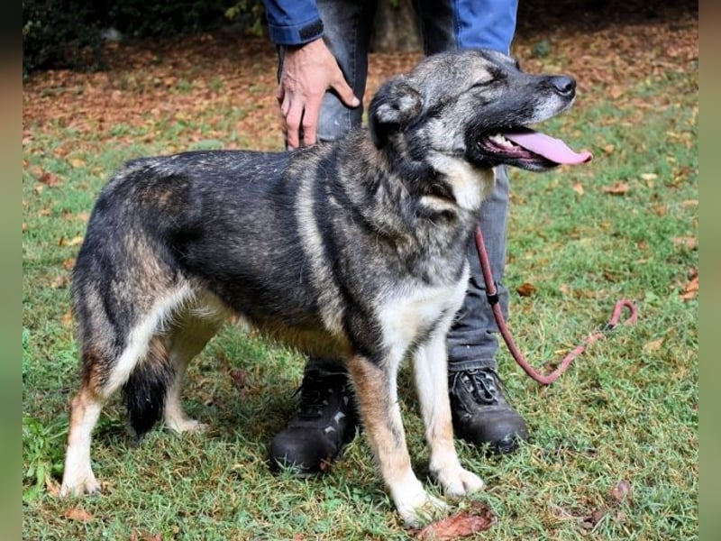 Silvana - im Eilschritt nach Hause?