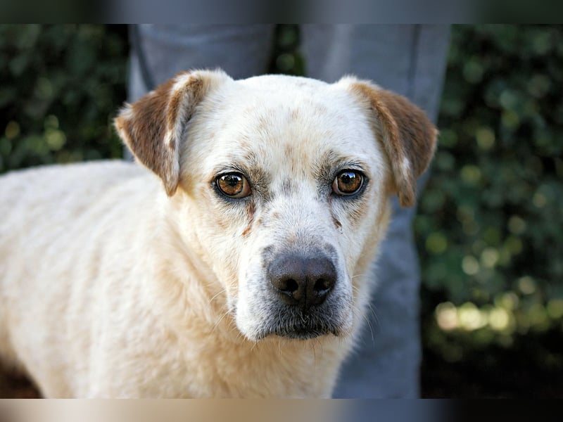 Jedd - Liebe auf den zweiten Stern