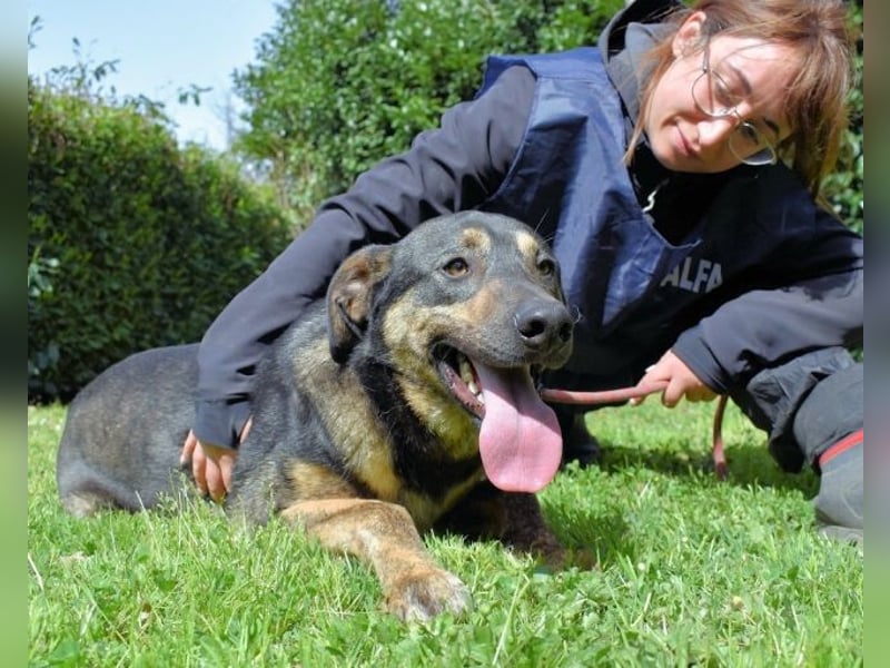 Montego - Sonne im Bauch und Brausekribbeln im Hirn