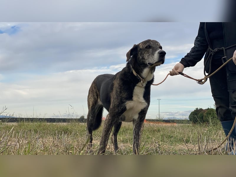 Lola - Das Herz hat seine Gründe