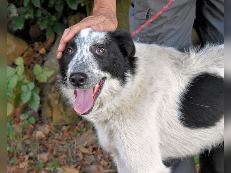 Jasmine - Wer nicht neugierig ist, erfährt nichts!