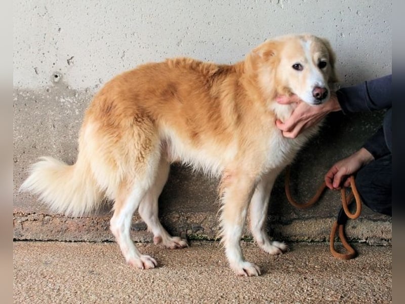 Tirvian - Kurz Alarm, dann Charme