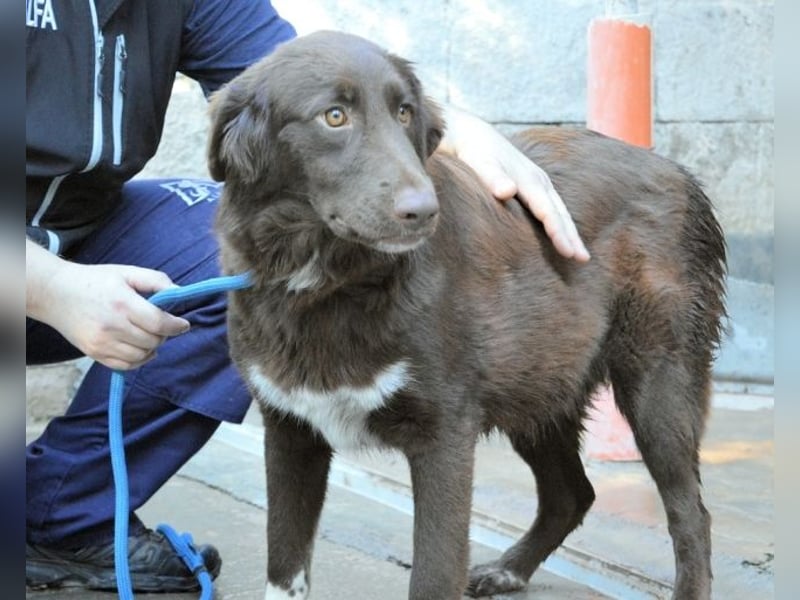 Beckey - Berufswunsch Prinzessin