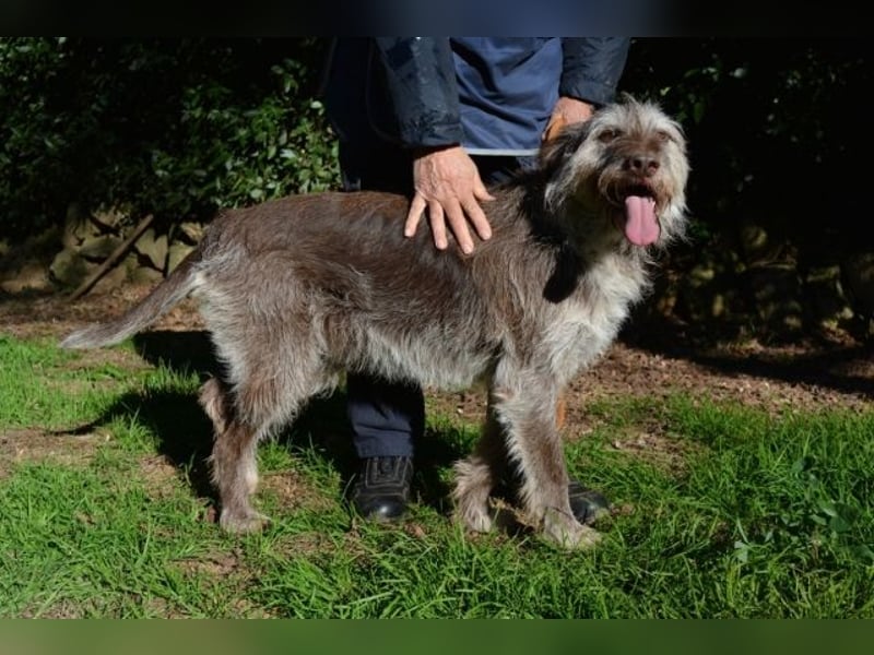 Minnie - Nach 7 Jahren Unglück endlich 7 Jahre Glück?