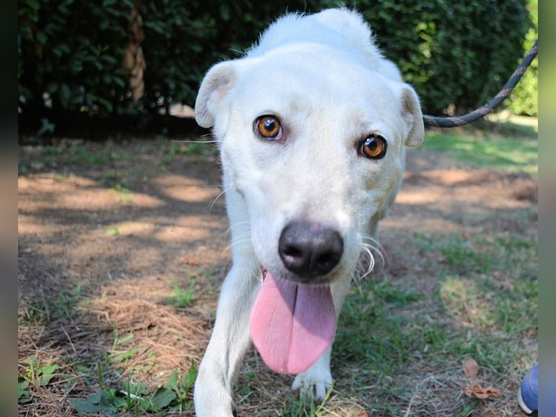 Dafnielle - Zukunft gesucht