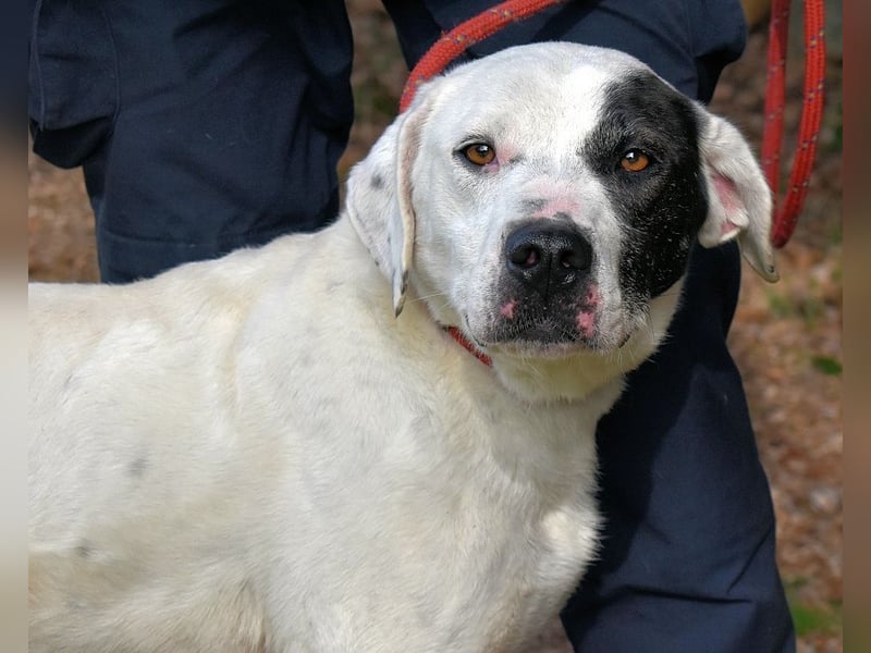 Olindina - Wie gut du bist, das zeigt sich an schlechten Tagen