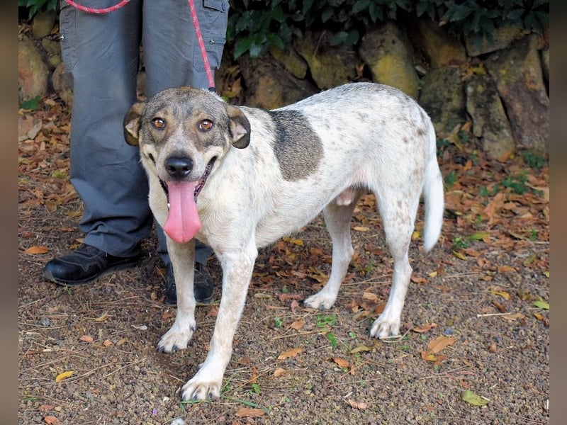 Helder - spricht für sich