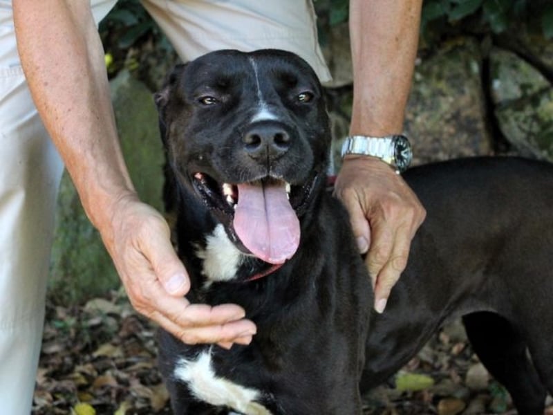 Sienna - Surferin der Herzen