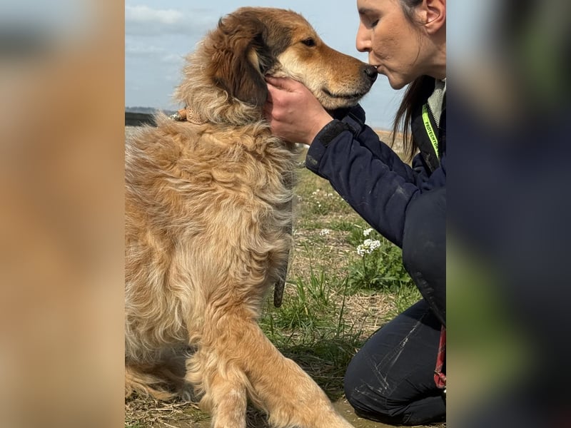 Ligorio - Zwölf, elf, zehn ... eins - Ligorio