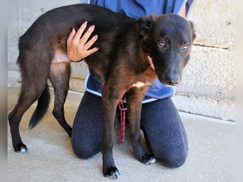 Ouzo - "Und wenn sie nicht weg sind......