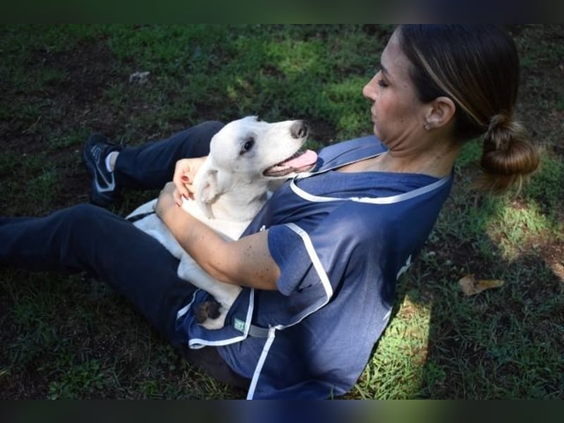 Scrubby - Ein riesiges Missverständnis!