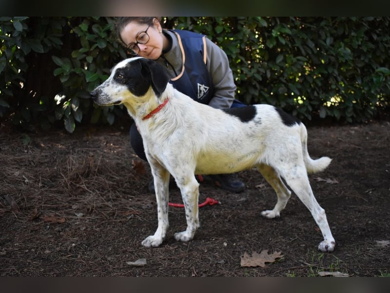 Kileo - ...Sternenstaub, wo bist du?