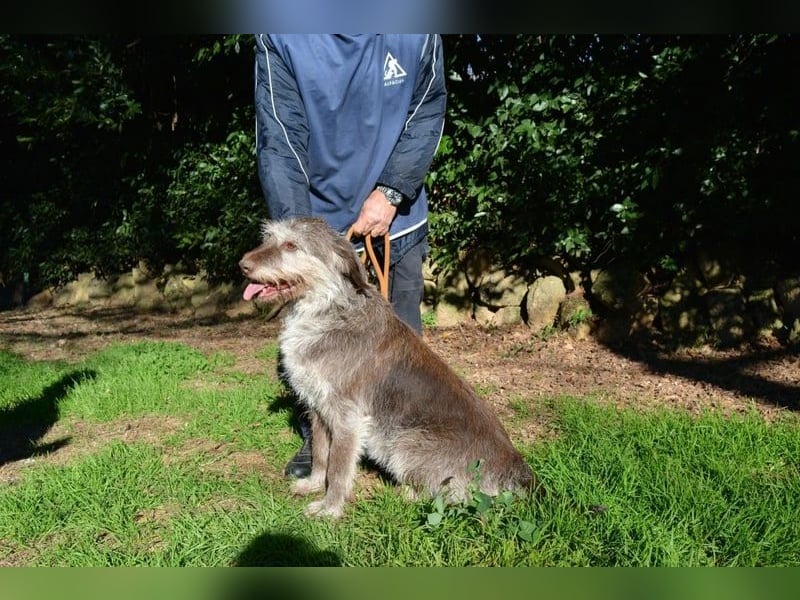 Minnie - Nach 7 Jahren Unglück endlich 7 Jahre Glück?
