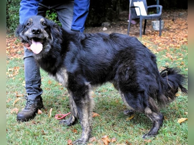 Pinot - "Unmöglich!" sagte die Tatsache... Pinot - "Unmöglich!" sagte die Tatsache...