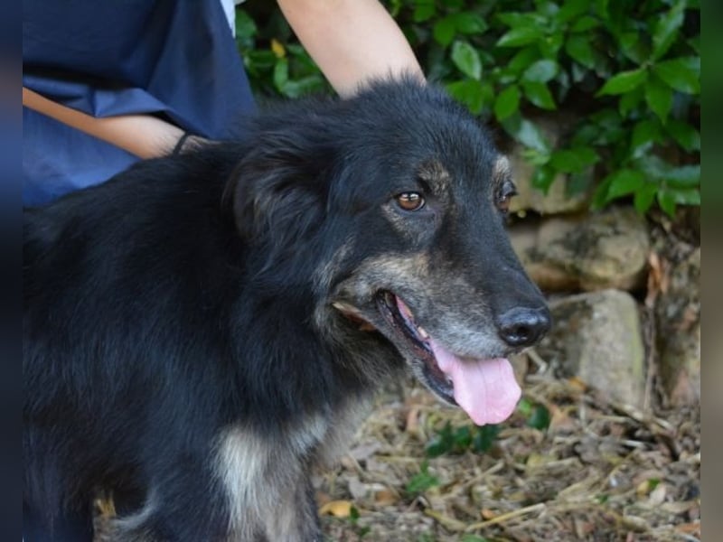Pinot - "Unmöglich!" sagte die Tatsache... Pinot - "Unmöglich!" sagte die Tatsache...