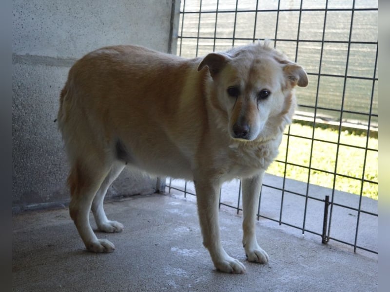 Addison - lange sitzen sie schon da und haben es schwer
