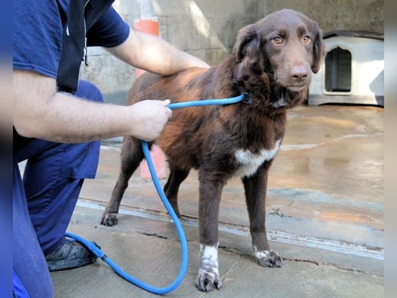 Beckey - Berufswunsch Prinzessin