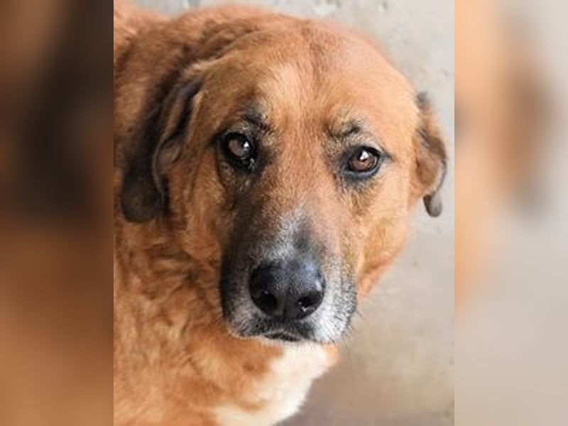 Kemp - Runder Rundum-Schatz