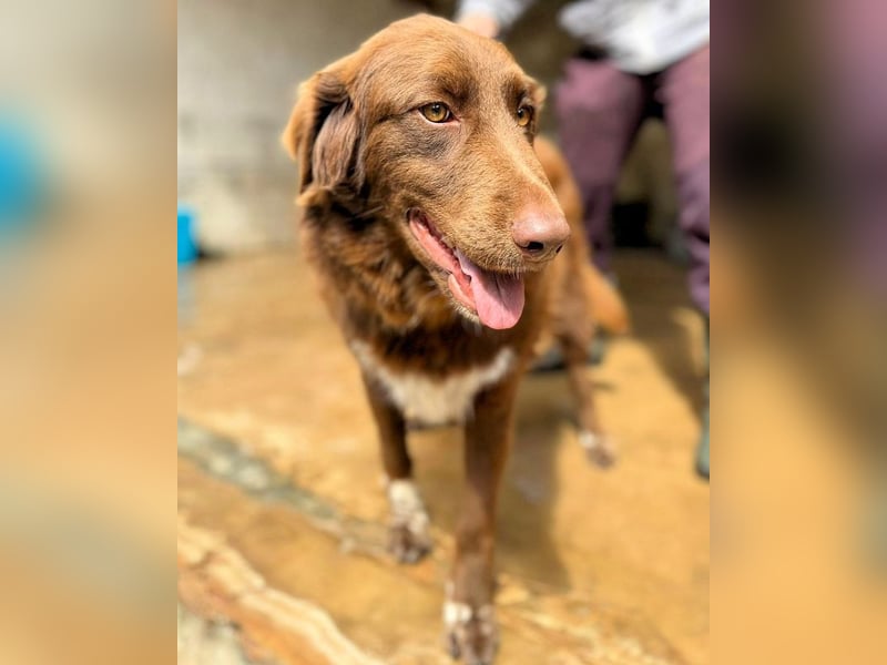 Beckey - Berufswunsch Prinzessin