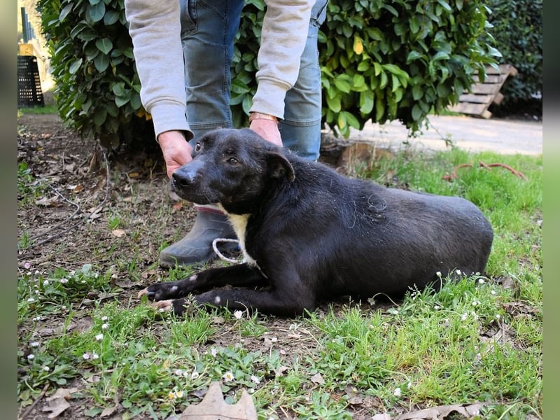 Rhino - NOTFALL !!! - Wenn man nicht auffällt, geht man unter