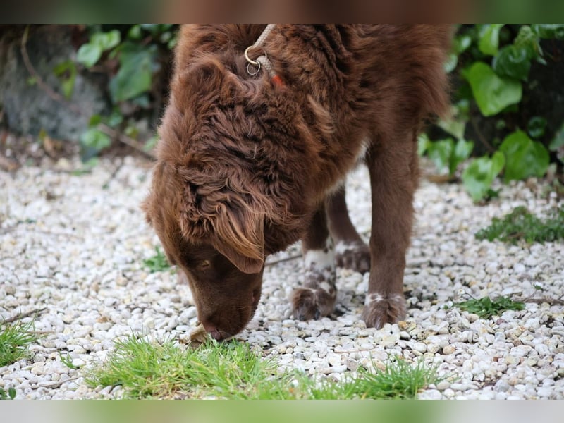 Beckey - Berufswunsch Prinzessin