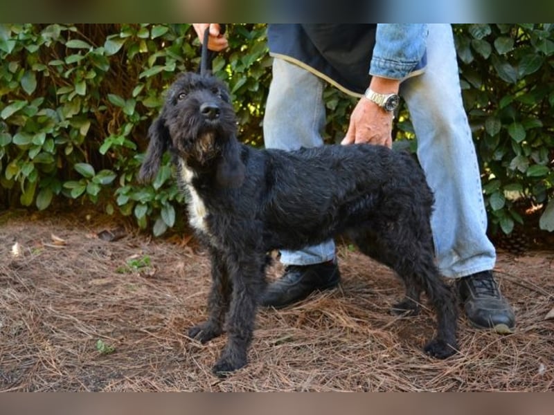 Elide - das doppelte Lottchen zu Edera