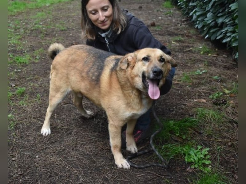 Kairo - möchte einfach nur genießen