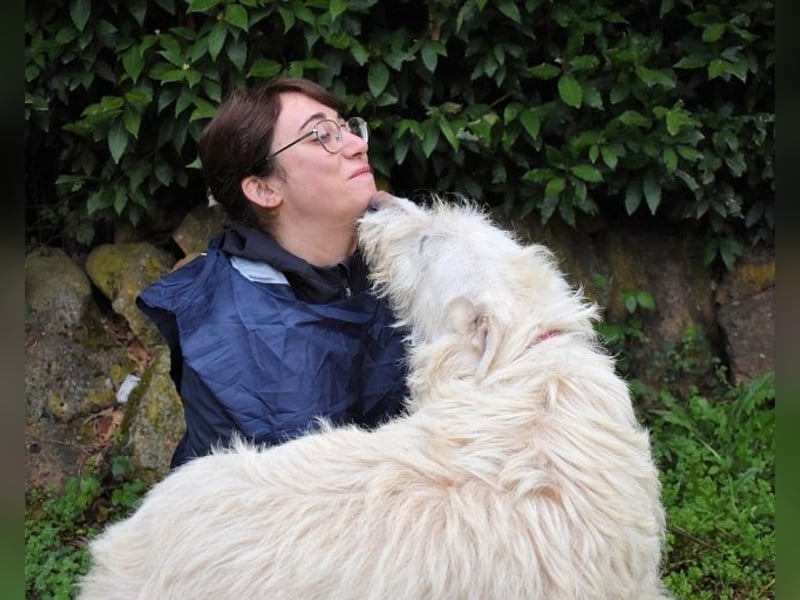 Gatsby - Der große Gatsby sucht seine Daisy