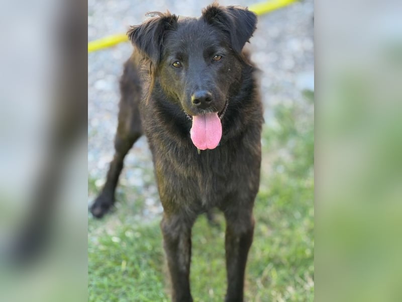 Donut - Wer nichts zu verlieren hat, kann nur gewinnen!