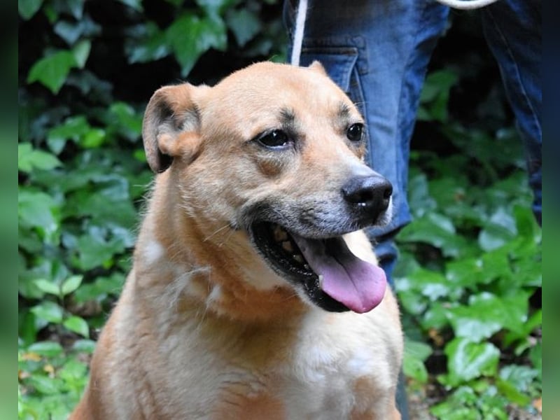 Cesny - Noch ist es nicht zu spät, aber es wird höchste Zeit!