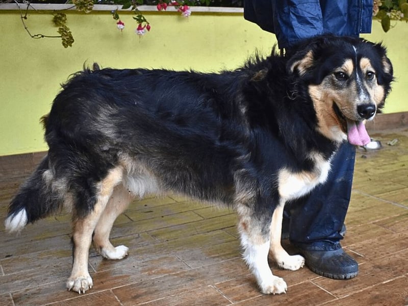 Oliverio - ohne Anklage hinter Gittern