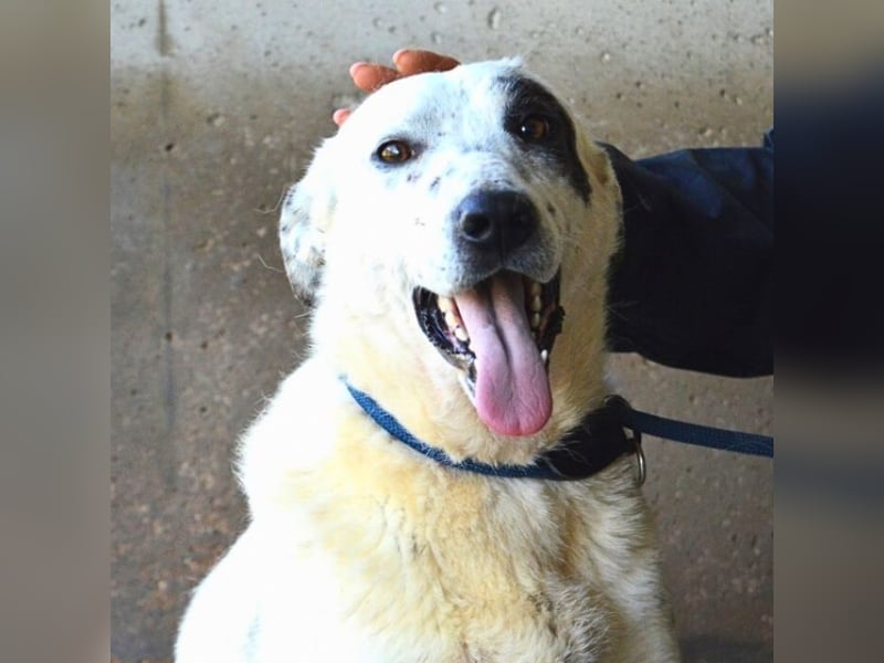 Arunny - Während Sie das hier lesen