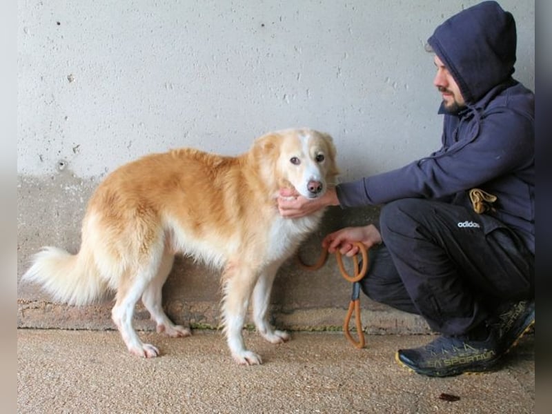 Tirvian - Kurz Alarm, dann Charme