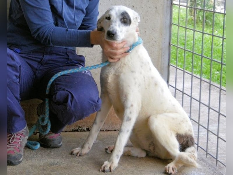 Arunny - aller guten Dinge sind drei