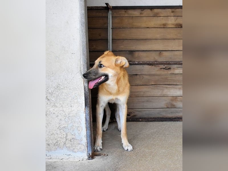 Osita - "Und wenn sie nicht weg sind.....