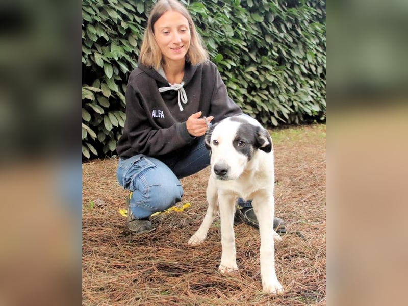 Marius - We proudly present...