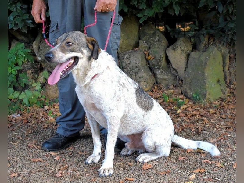 Helder - spricht für sich