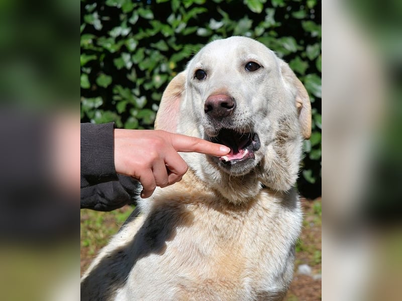 Shaydon - Ein riesiges Missverständnis!