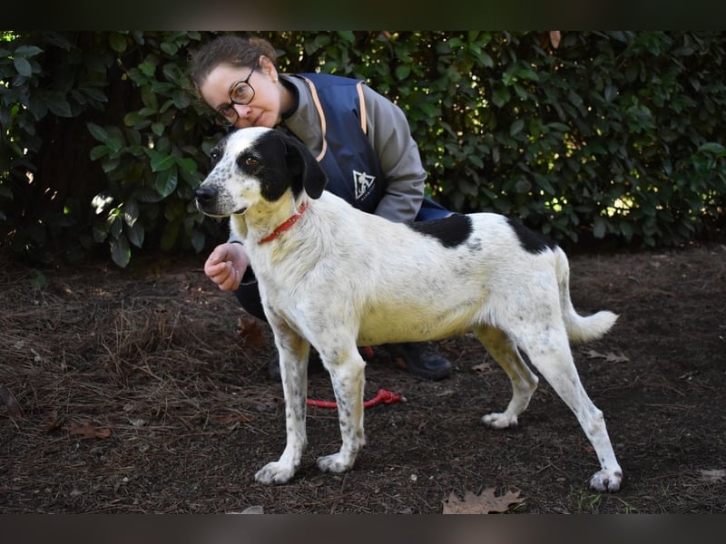 Kileo - ...Sternenstaub, wo bist du?